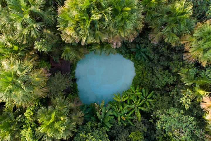 Jalapão: O Paraíso do Tocantins Que Você Precisa Conhecer